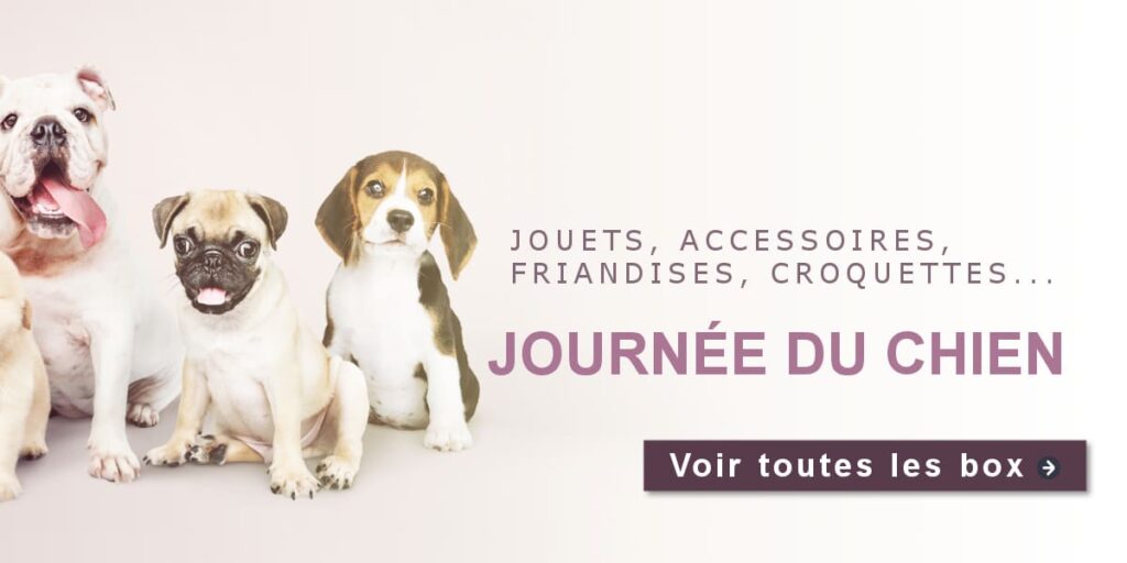 Box pour la journée du chien