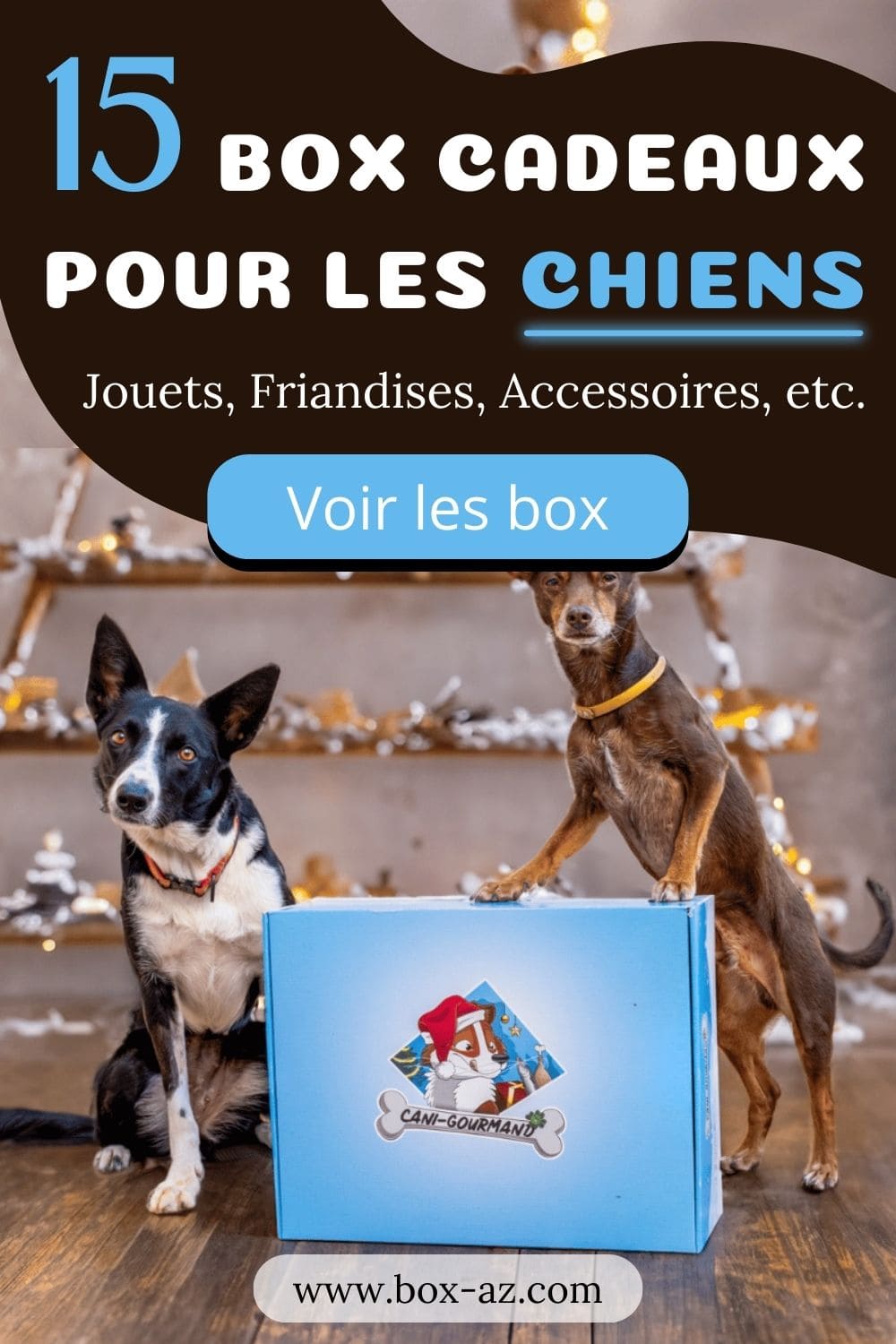 Lot De 15 Boîtes Dressage Nez Chien JOINPAYA – Aluminium – Pour Entraînement Odorat – Boîte Travail Nez Chien De Détection - 5
