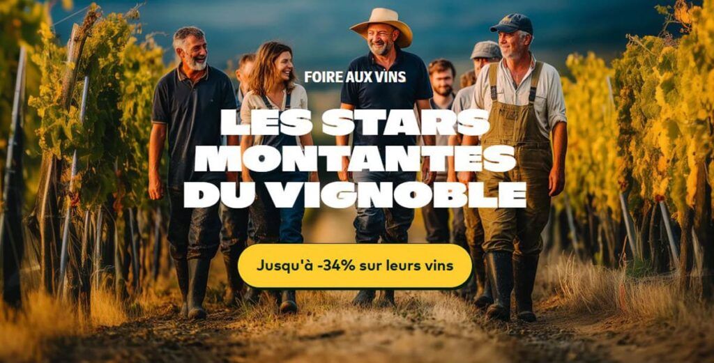 La foire aux vins Le Petit Ballon pour acheter des bouteilles des vignerons de demain jusqu'à -34%.