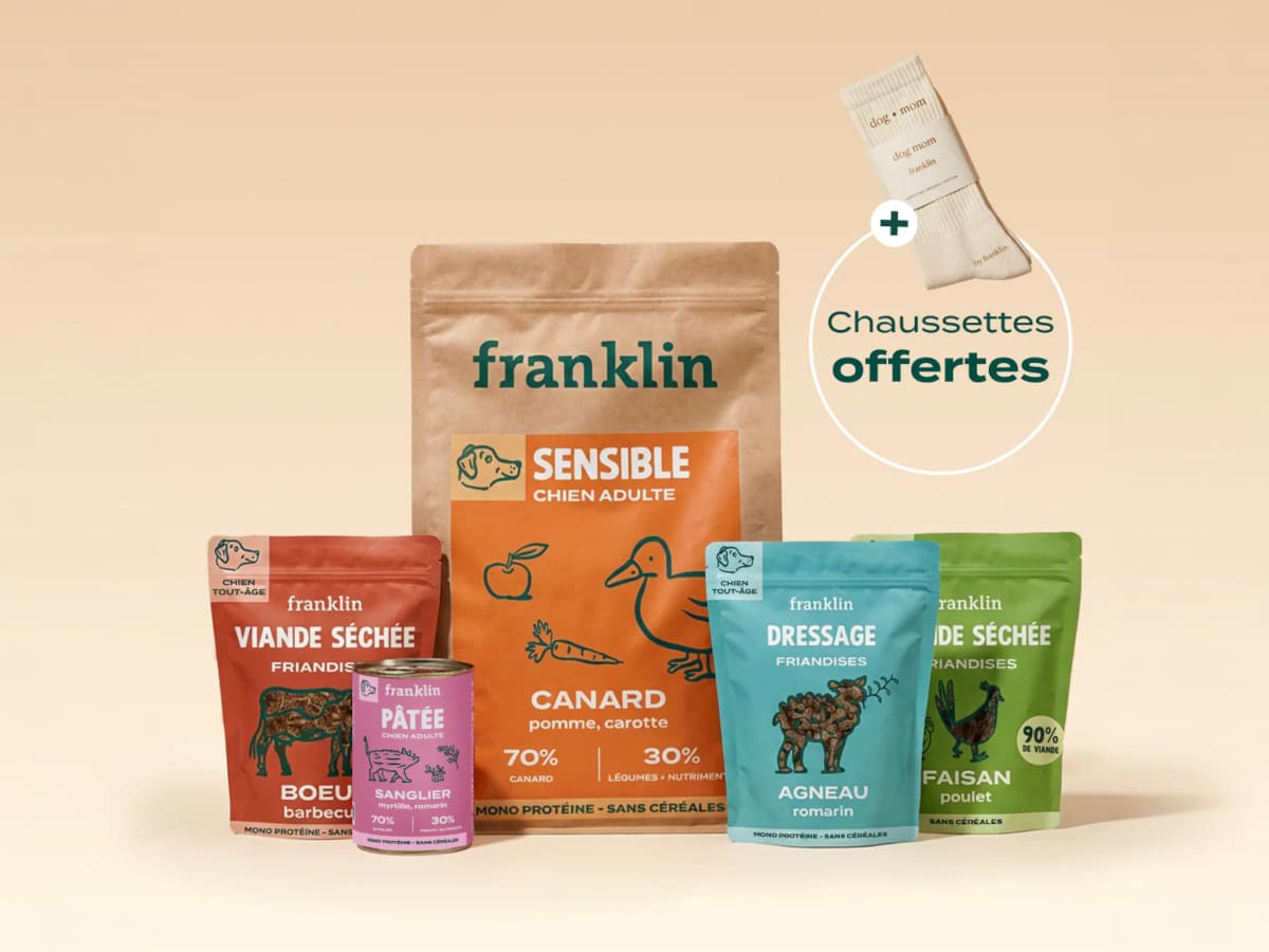 Franklin : Pack Découverte Chien