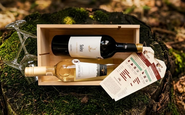 Box de vin Le Baroudeur du Vin avec 2 bouteilles posées sur un tronc d'arbre dans un bois