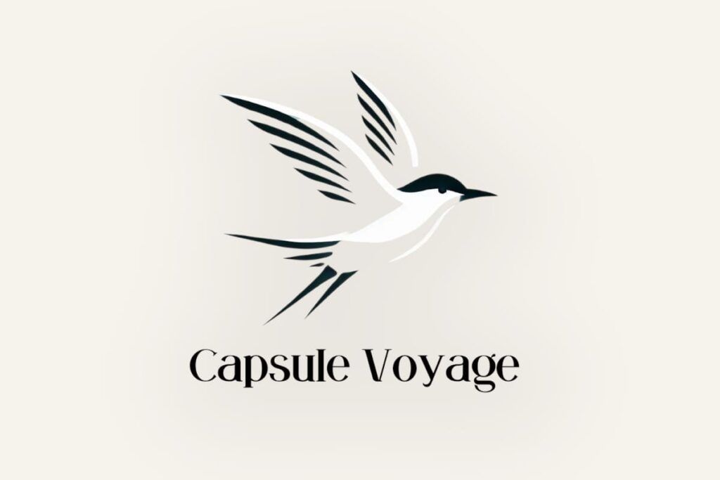 Logo de la marque de box Capsule Voyage