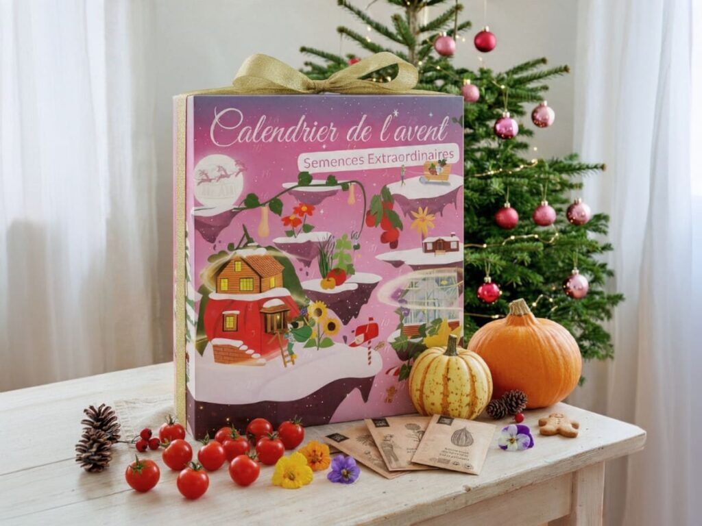 Le calendrier de l'Avent potager édition 2026 de Dr Jonquille et Monsieur Ail